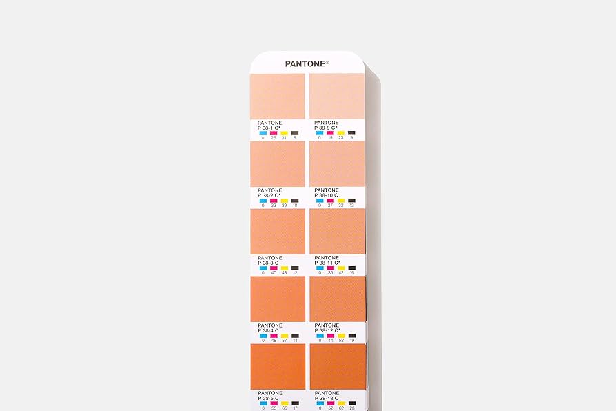 Pantone color chips & guide セット PANTONE Color Chips Supplement Sheets Book - Individual